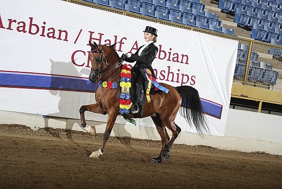 Equitation-Horsemanship