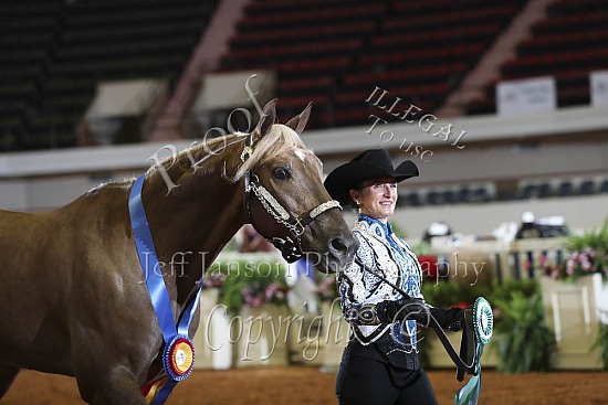 Showmanship AATH