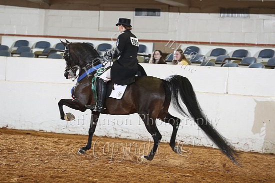 PB Show Hack Open