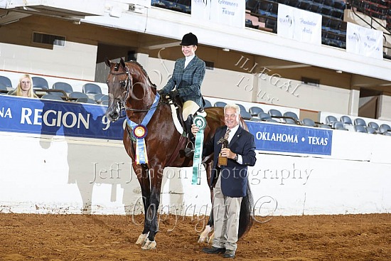 Jr Horse