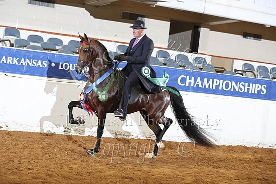Jr Horse