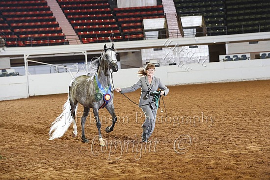 Mares AOTH