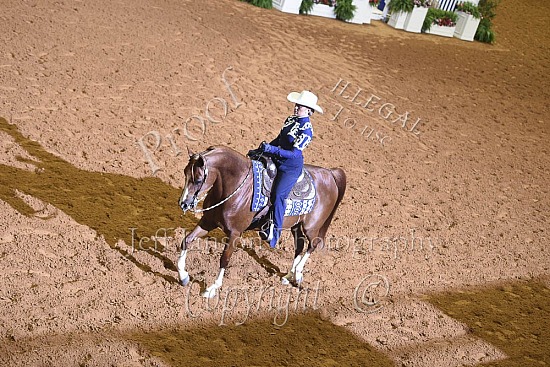 Horsemanship AATR