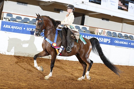 Walk Trot - Leadline