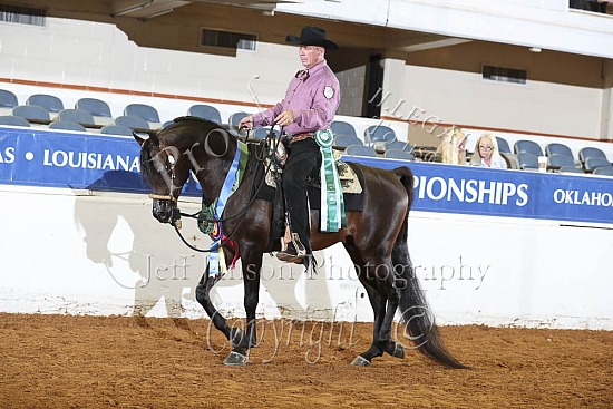 Jr Horse