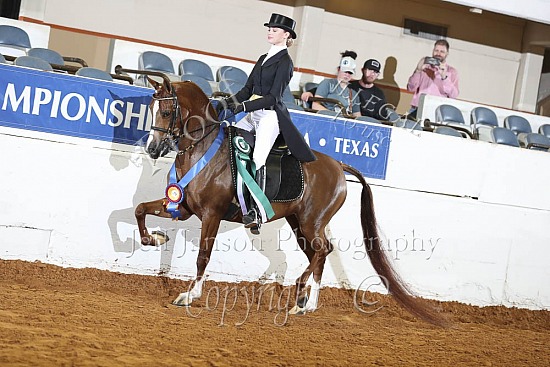PB Show Hack JTR