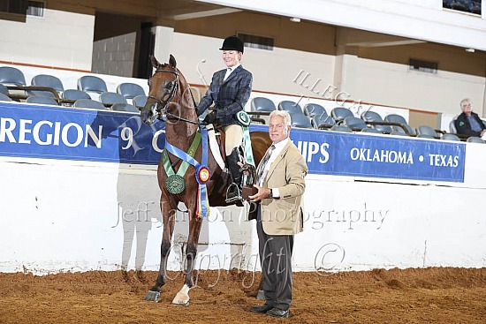 Jr Horse