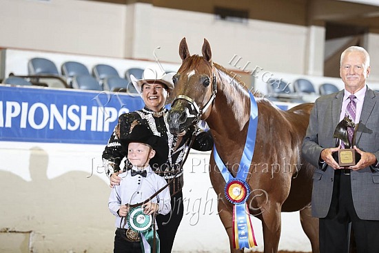 Performance Mares