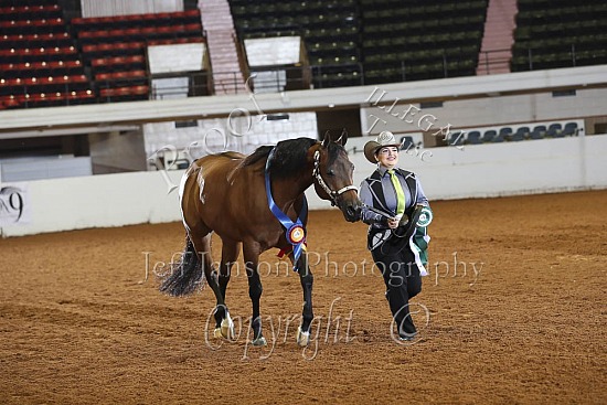 Performance Geldings