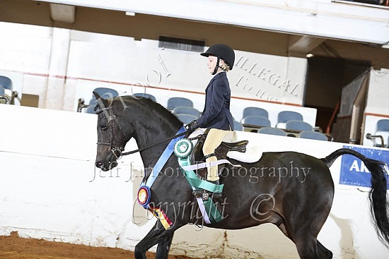 Hunter Seat JTR 10 & Under