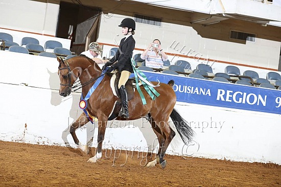 Hunter Seat JTR 13 & Under