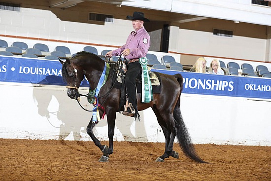 PB Western Pleasure