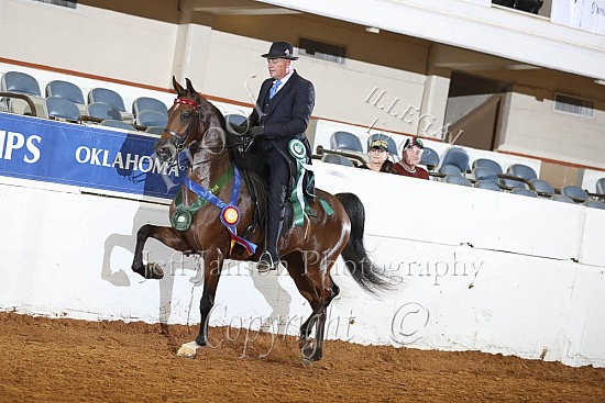 Jr Horse