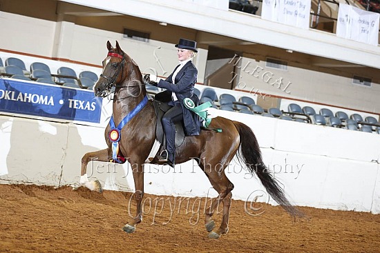 Saddle Seat JTR