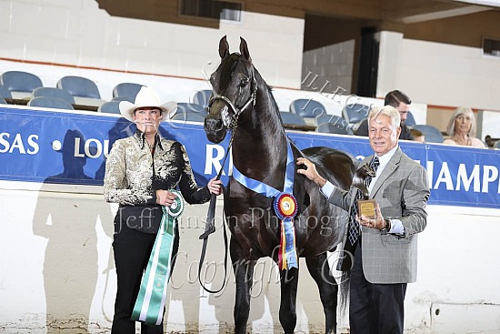 Performance Stallions