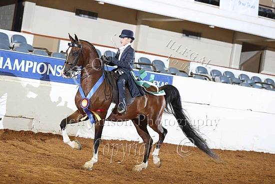 Saddle Seat 10 & Under