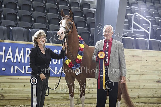 Performance Mares