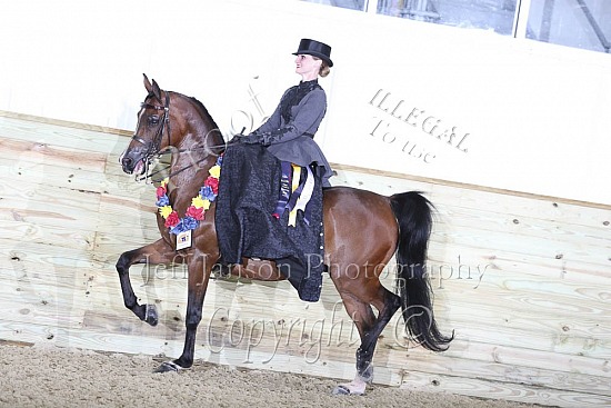 PB Side Saddle Open