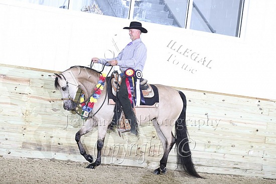 Jr Horse