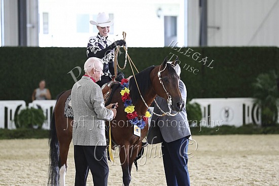 Western Horsemanship JTR