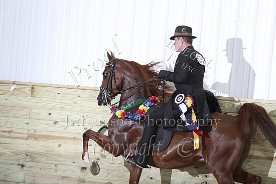 Jr Horse