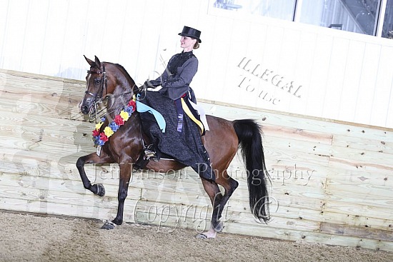 PB Side Saddle ATR