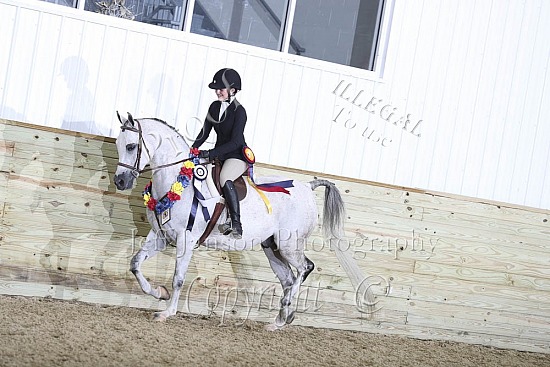Hunter Seat 14 & Under