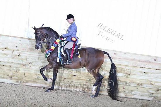 Jr Horse