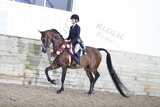 Hunter Seat 16-18