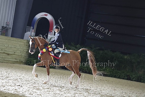 Hunter Seat 15 Yr Old