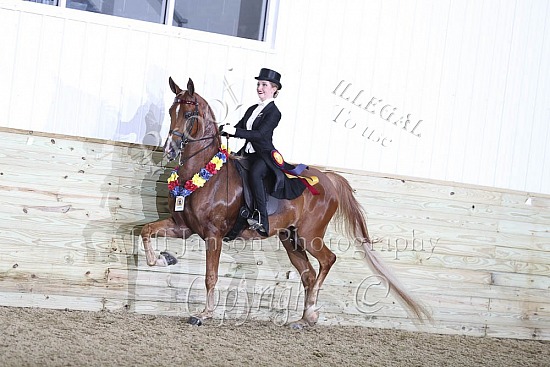 Saddle Seat 14 & Under