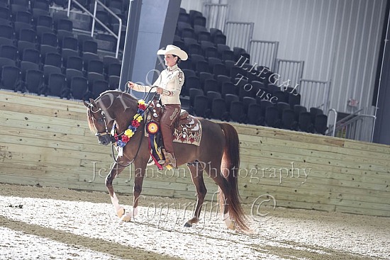 Jr Horse