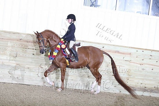 Hunter Seat 10 & Under