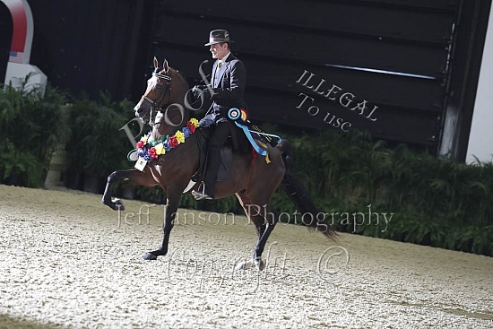 Jr Horse