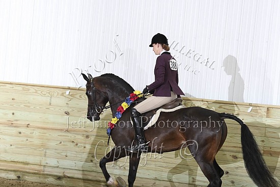 Jr Horse