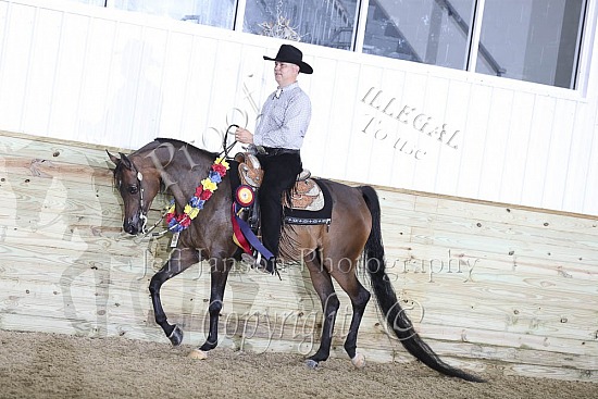 Mare & Gelding