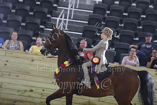 Saddle Seat 10 & Under