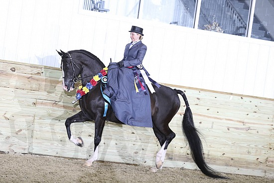 PB & HA Side Saddle