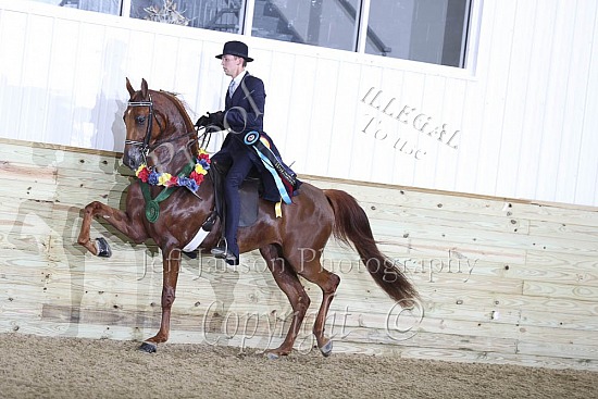 Jr Horse