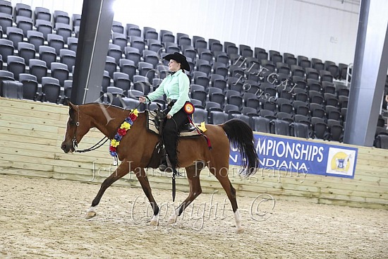 PB & HA Ranch Riding