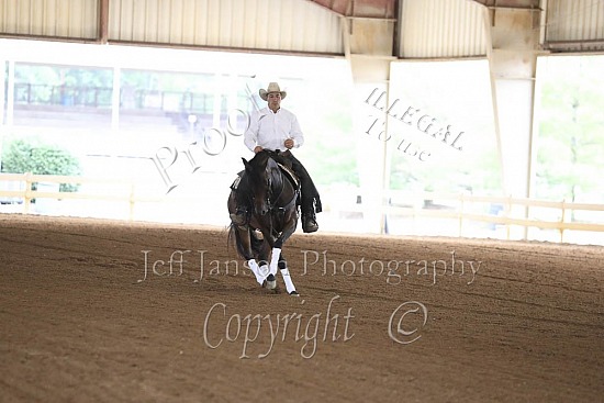 Reining 