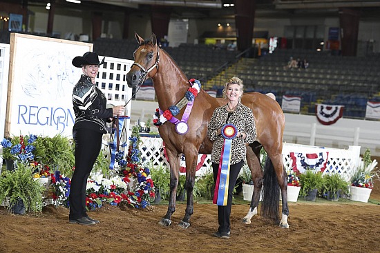 Showmanship AATH