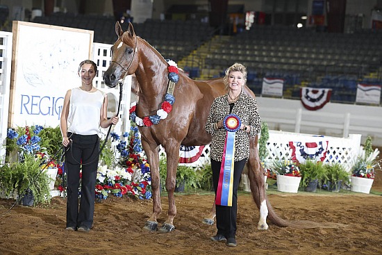 Mares JTH