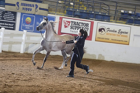 Mares ATH
