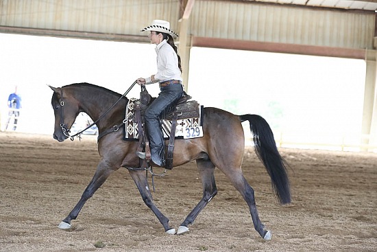 Ranch Riding 