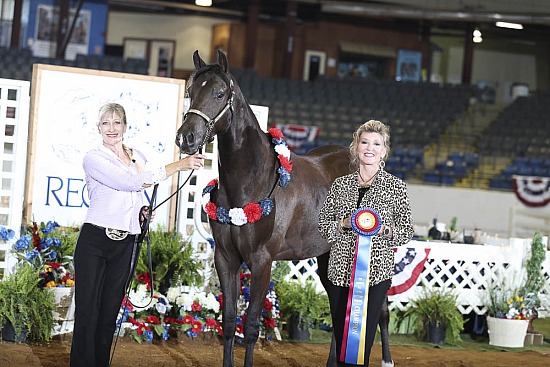 Geldings ATH