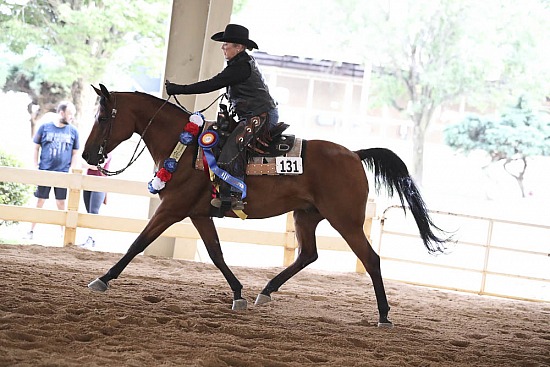 Reining and Ranch Riding