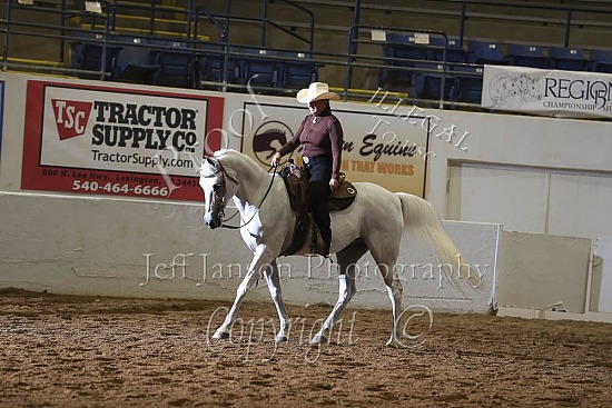 HA Ranch Rail Pleasure Open