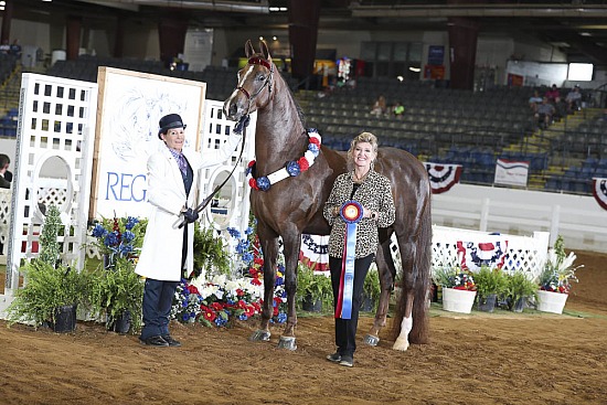 Performance Mares