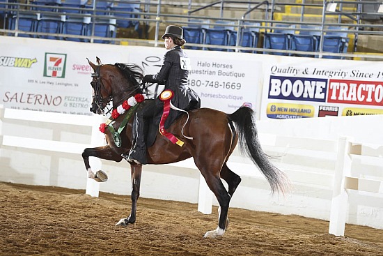 Jr Horse